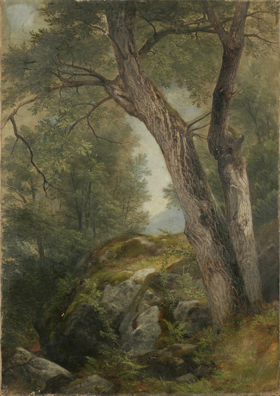 Butternut fa Hágában, George-tó, NY, 1862 alkotó: Asher Brown Durand