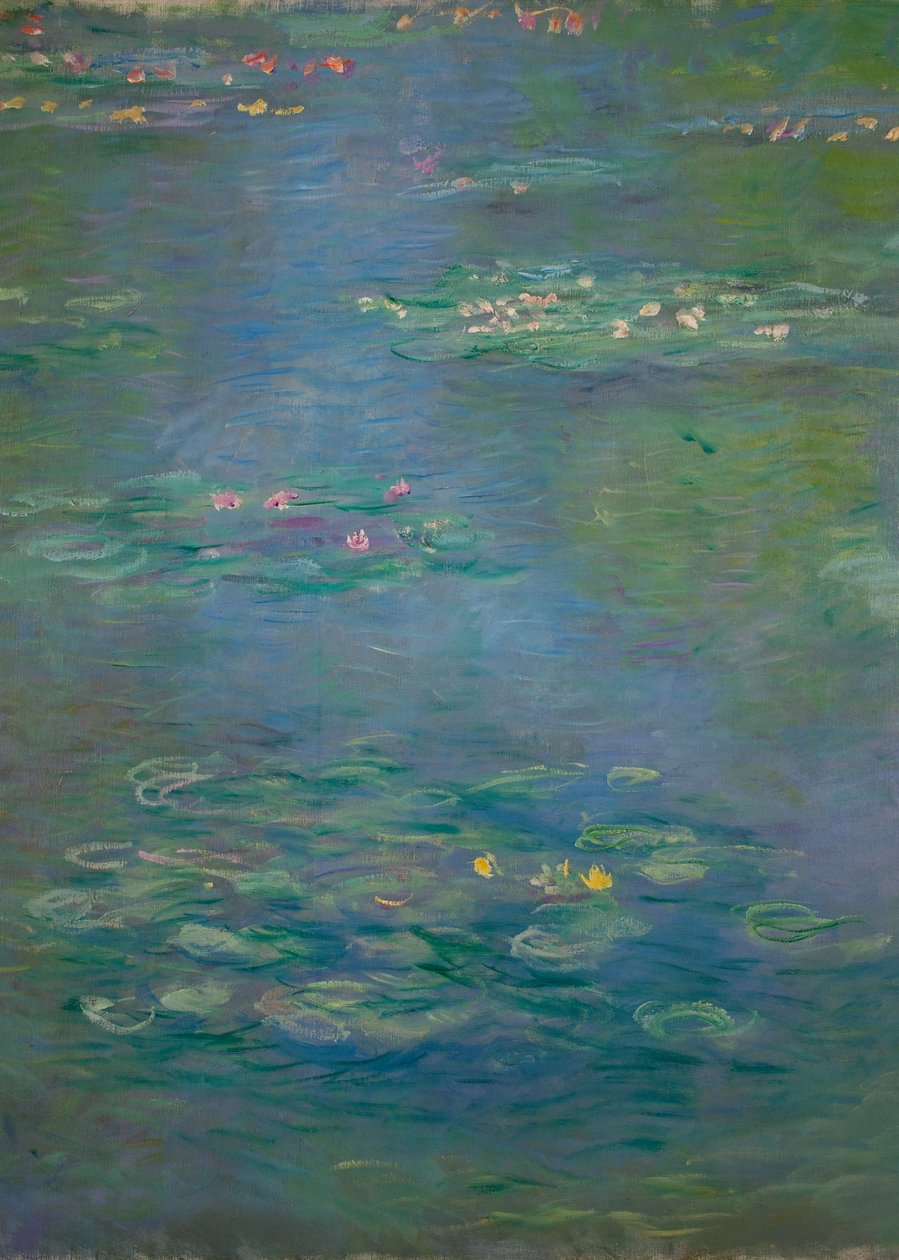 Vízililiomok, részlet, 1903 (lásd még 160198) alkotó: Claude Monet