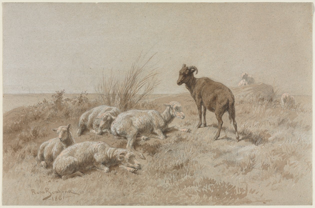 Juh alkotó: Rosa Bonheur