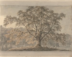 Kilátások Angliában, Skóciában és Walesben: Ash a Londesbro Parkban, 1800. május