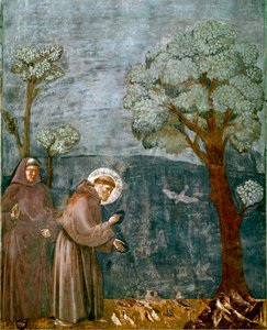 Assisi Szent Ferenc (San Francesco) életének epizódja: „A madarak predikációja”” Giotto (Ambrogio di Bondone) freskója