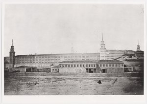 Scutari laktanya, 1854