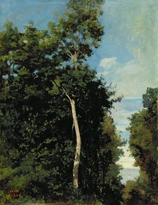 A fa a Cote de Grace-en Honfleurben (olaj, vászon a fedélzeten)
