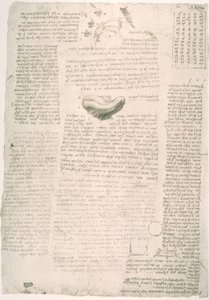 Anatomiestudien alkotó: Leonardo da Vinci