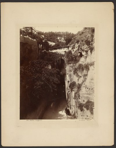 Nápoly, Piedigrotta alkotó: Giorgio Sommer