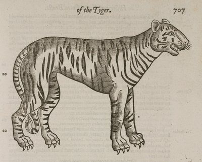 A tigris alkotó: John Pardon