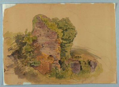 Toronybázis, Erdő romjainak vázlata alkotó: William Stanley Haseltine